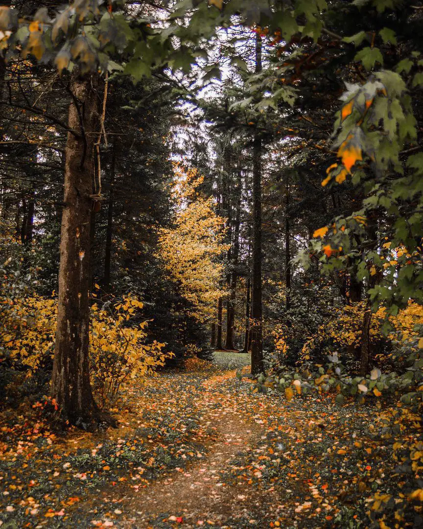 Massachusetts