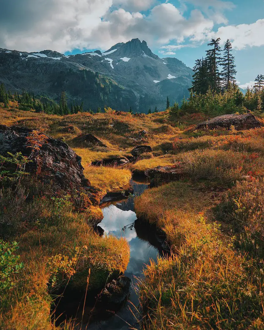 Washington, USA