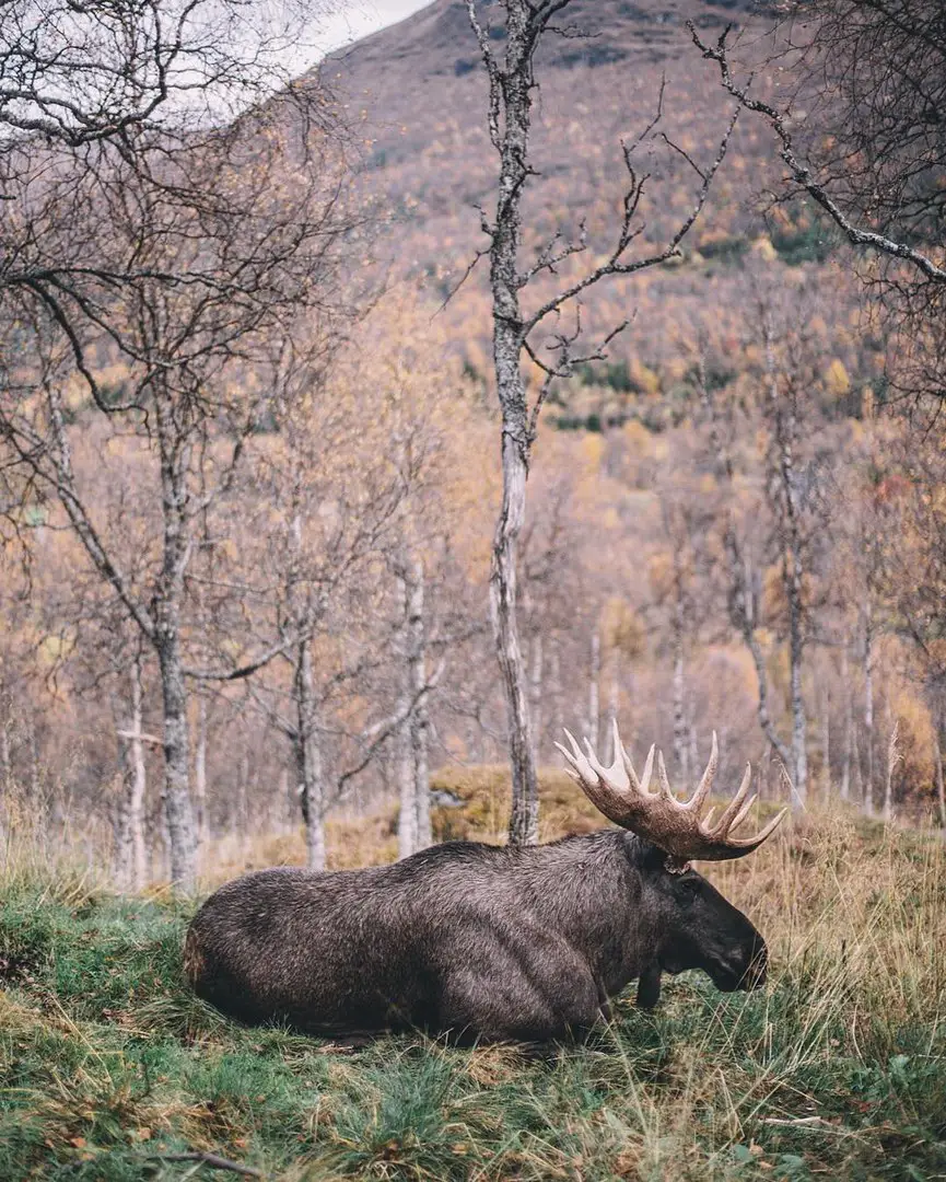 Norway