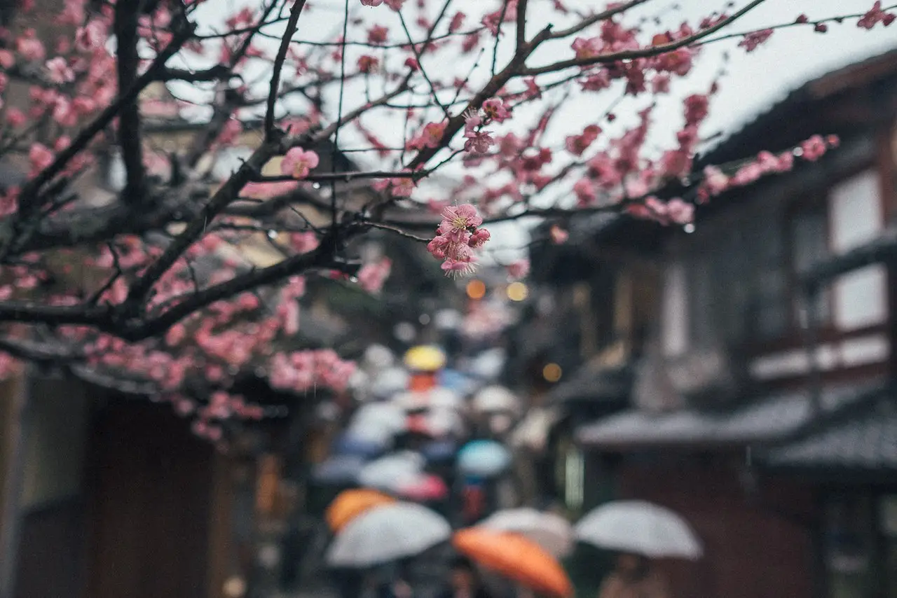 Japan by RECO