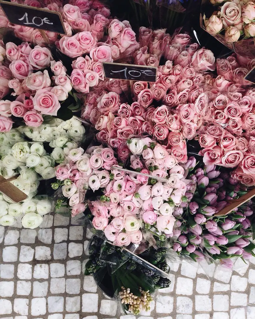 Blossoming Paris