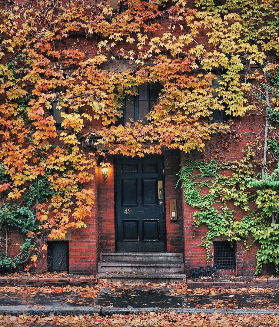 Boston