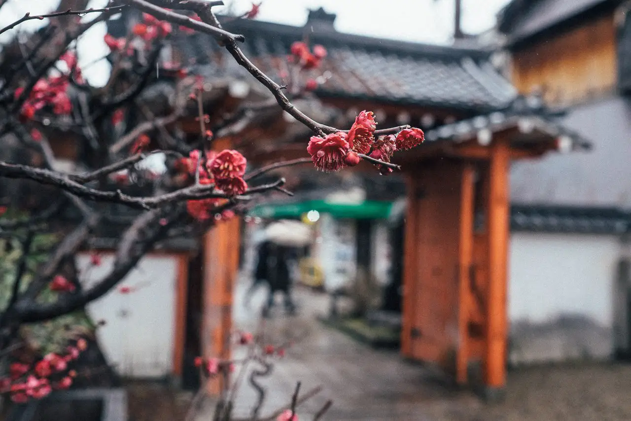 Japan by RECO