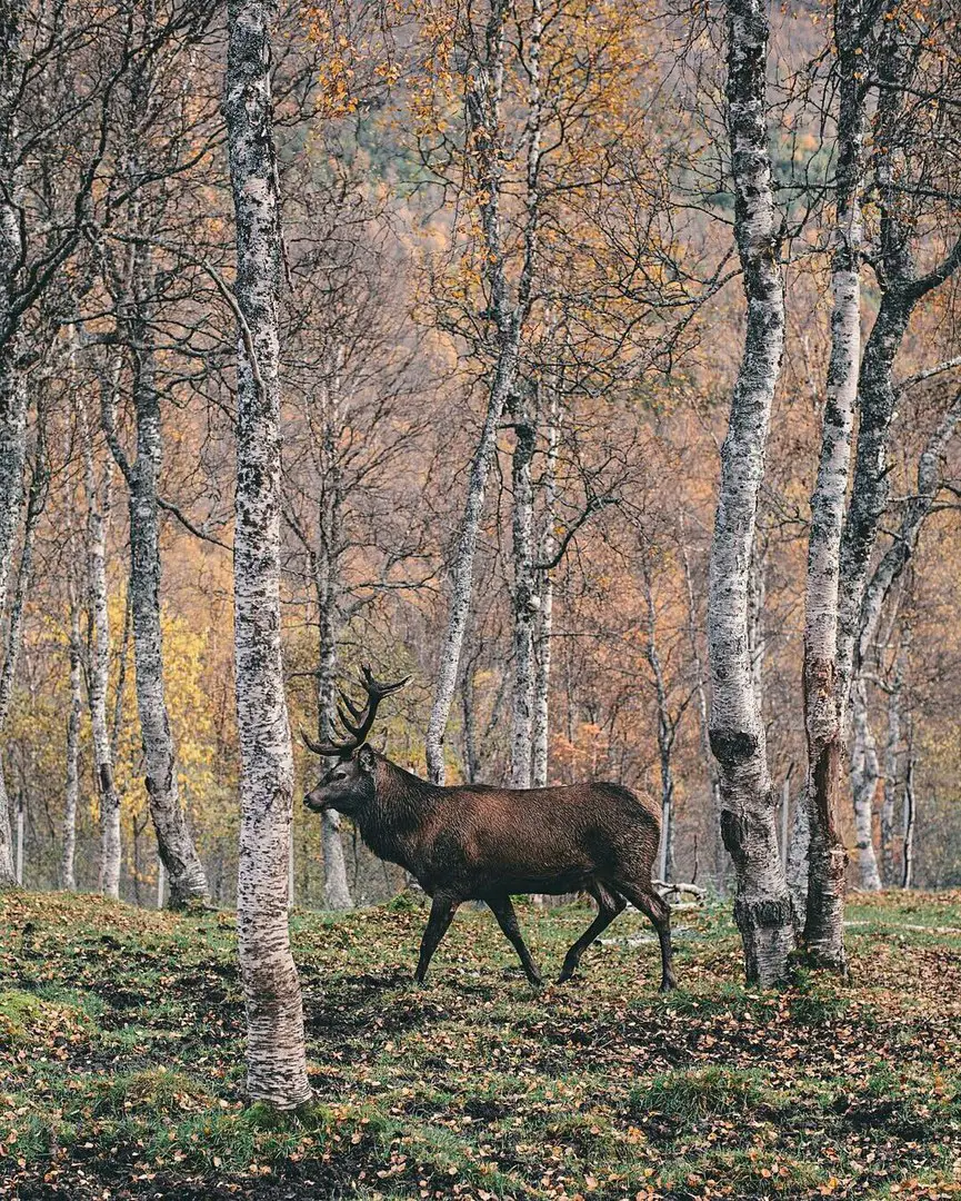 Norway