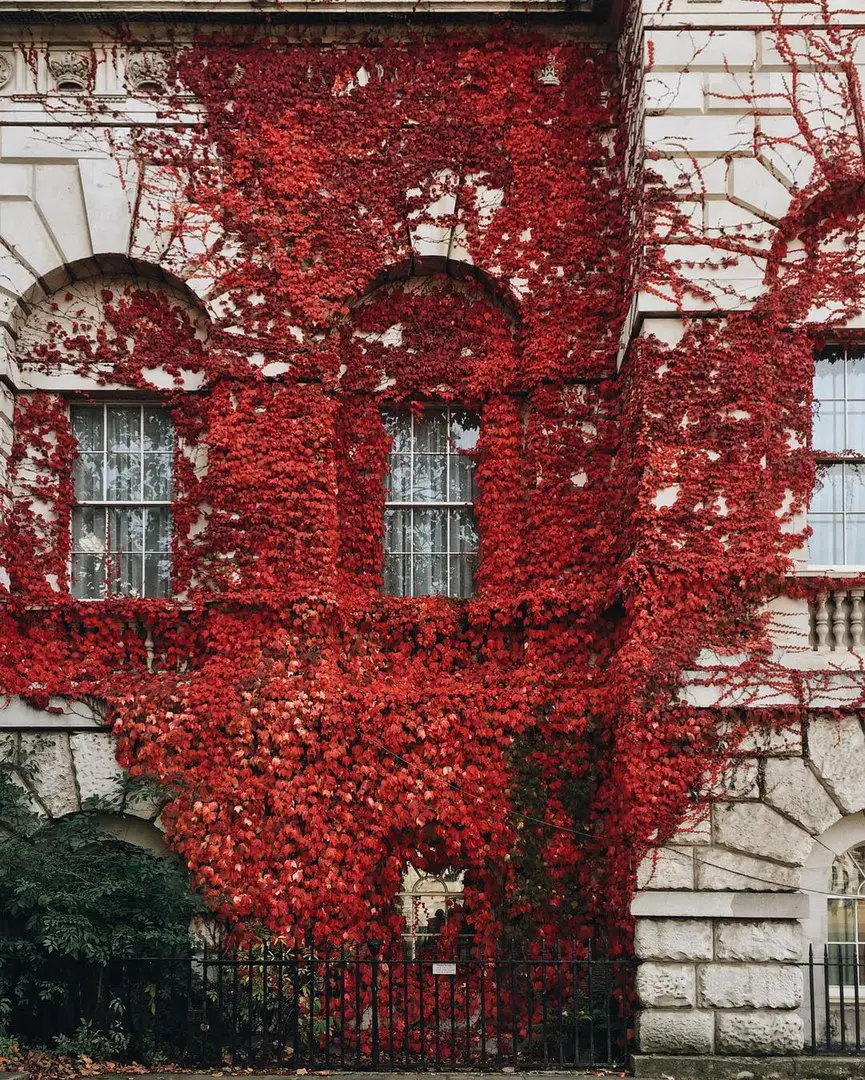 London, UK