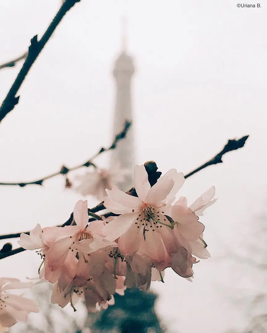 Paris, France