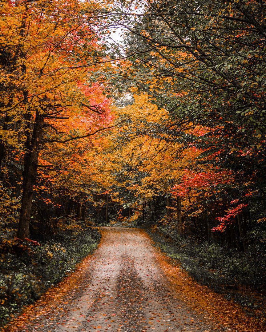 Autumn Massachusetts, USA
