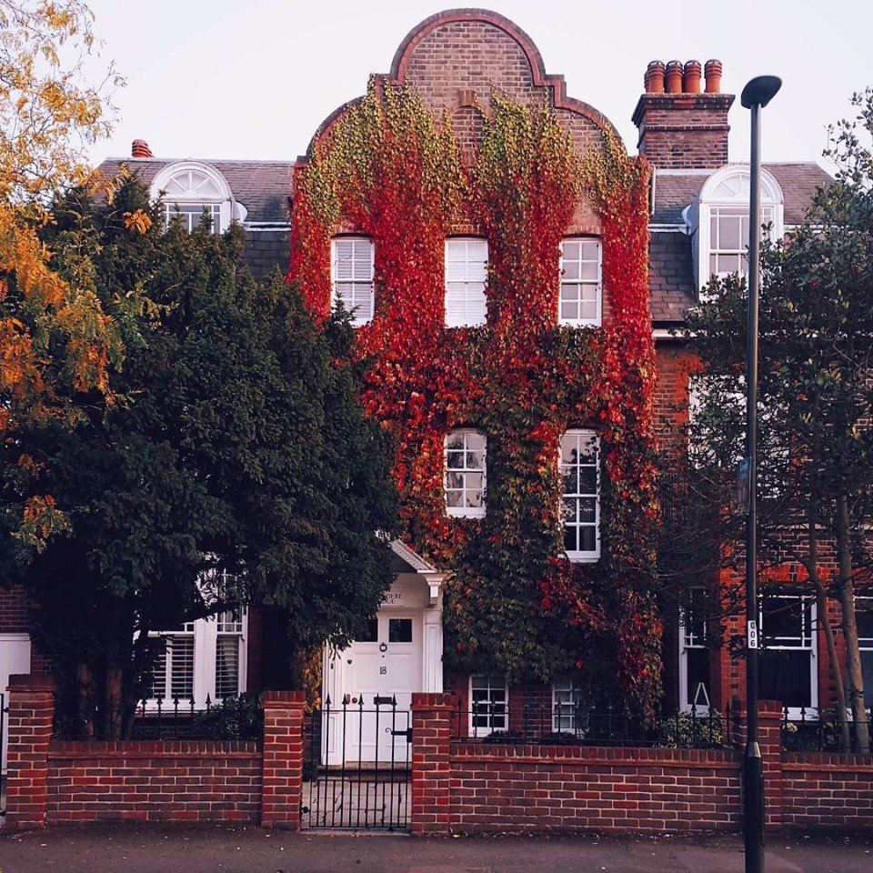 London in the arms of autumn