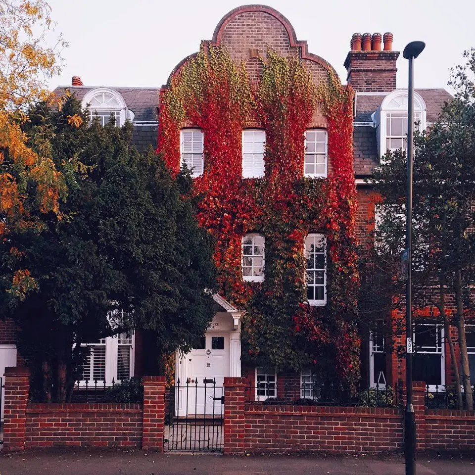 London in the arms of autumn