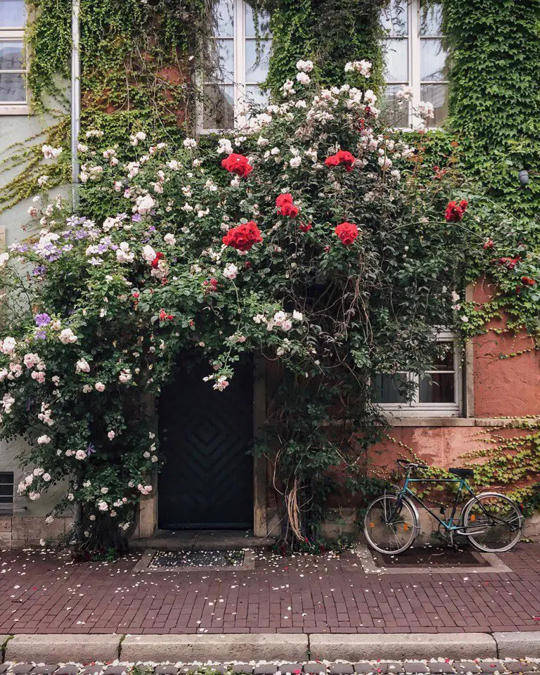 Germany