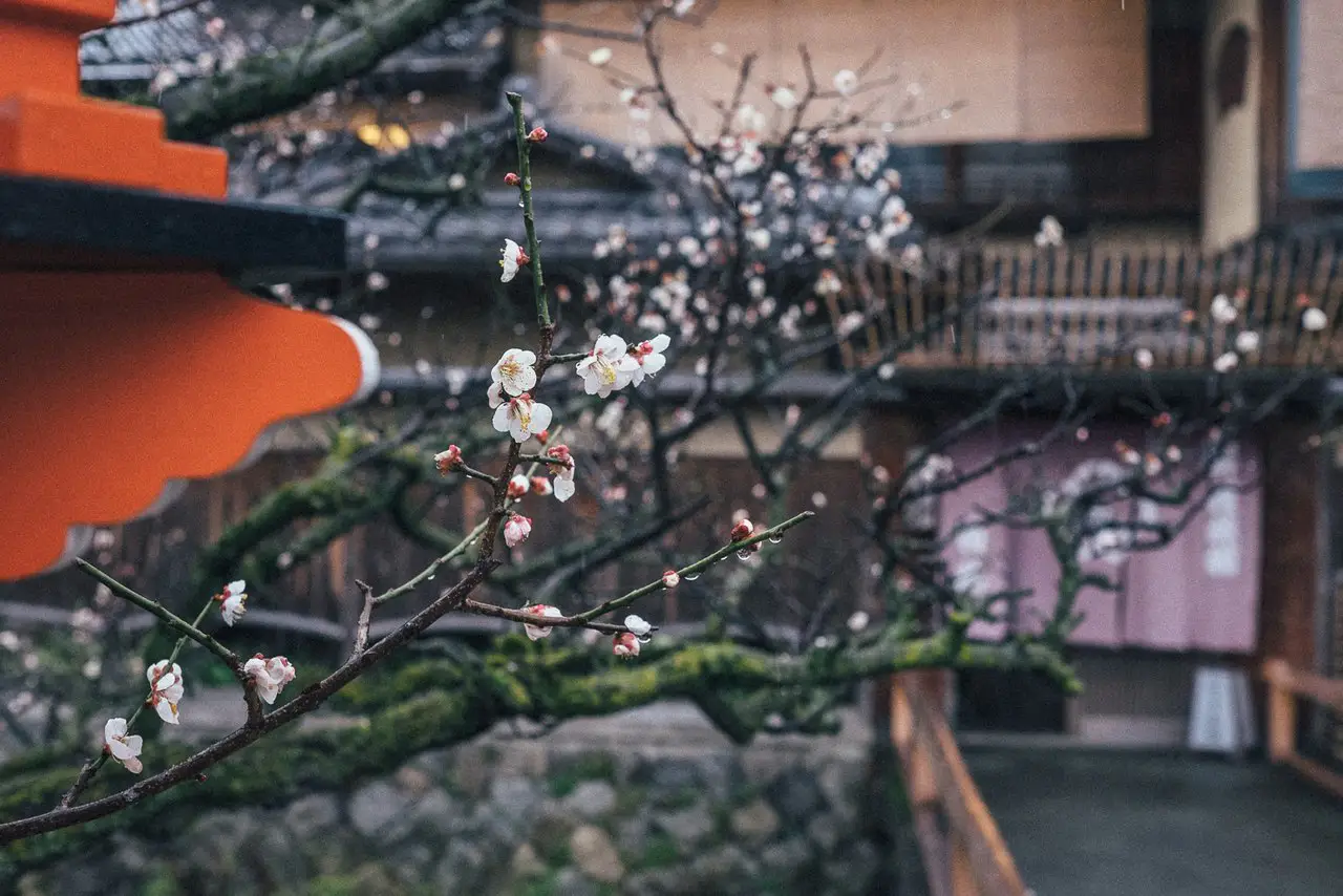 Japan by RECO