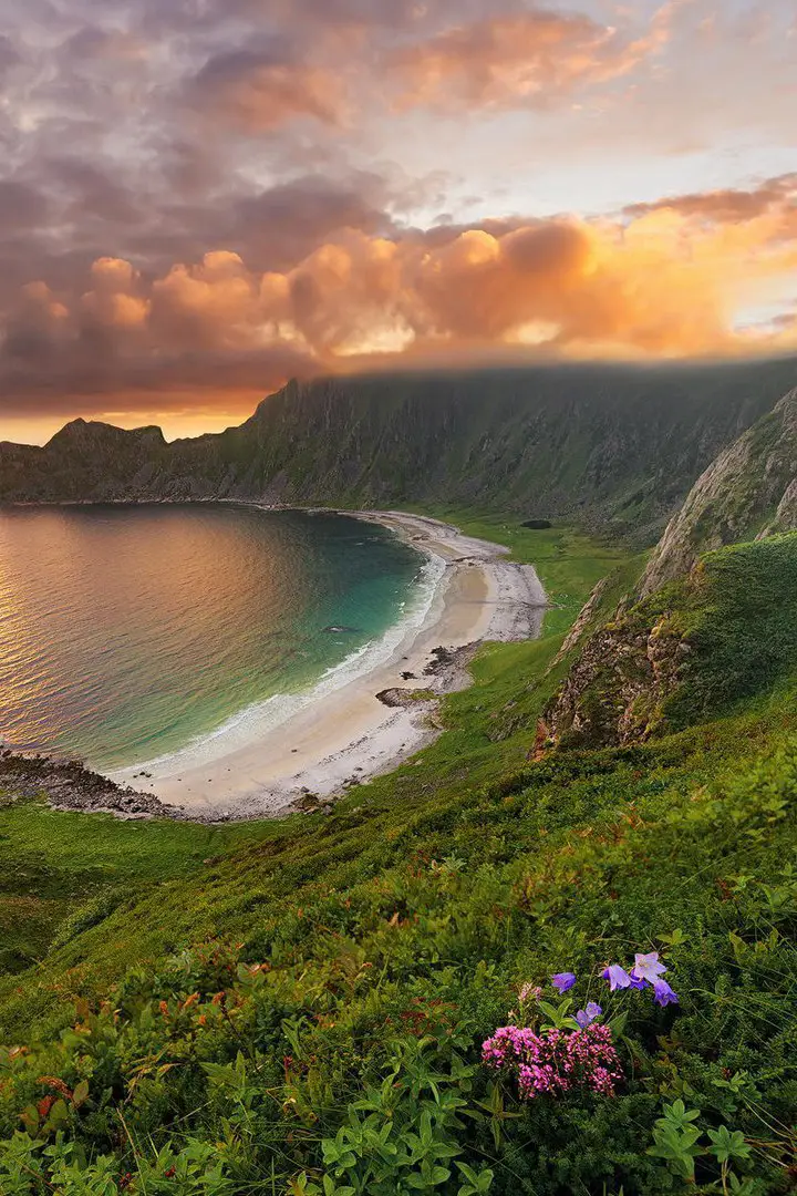 Norway Lovely