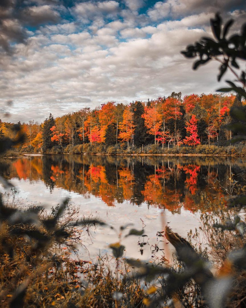 Осенний Массачусетс, США
