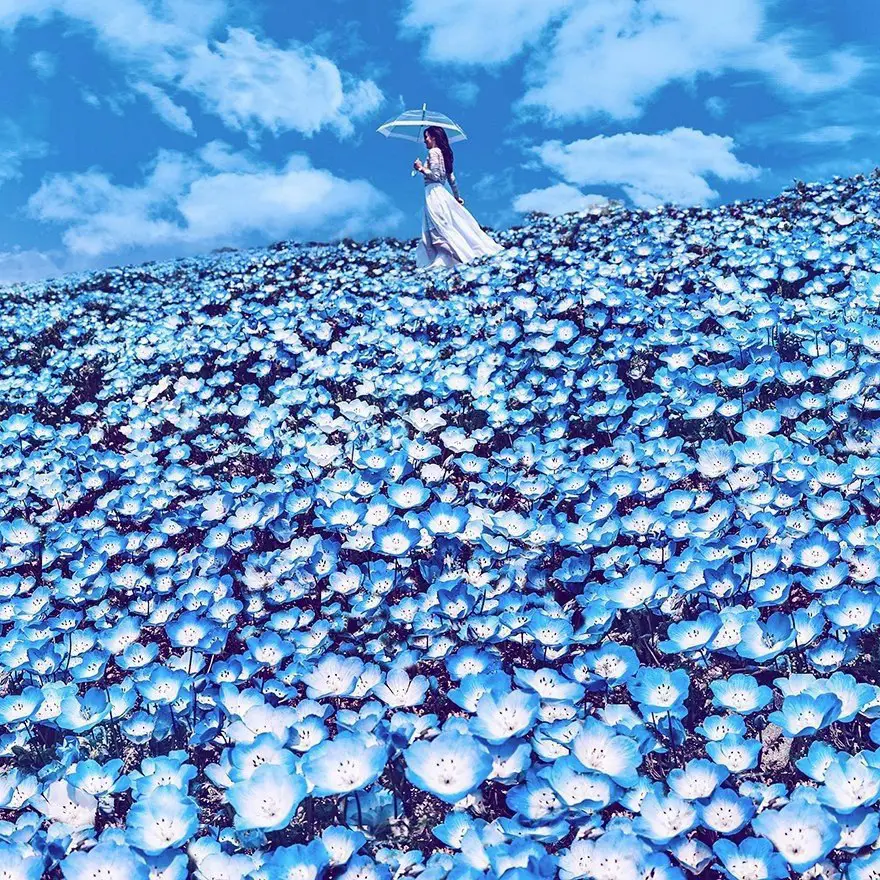 Park Hitaci, Japan