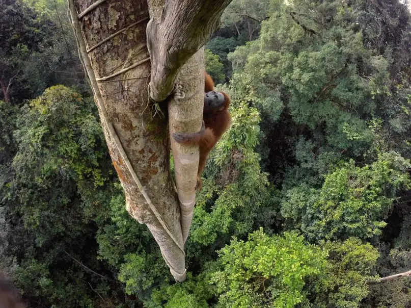 Лучшие фотографии от National Geographic.