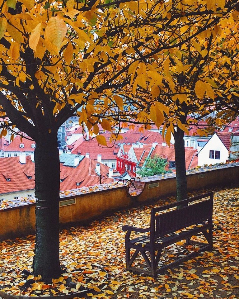 Если и любить осень, то нужно делать это в Праге