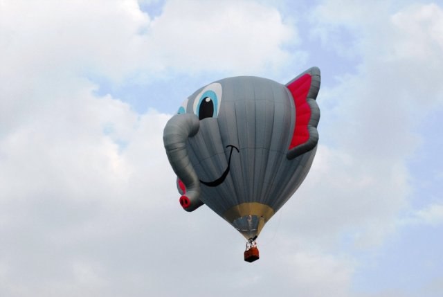 Фестиваль воздушных шаров в США