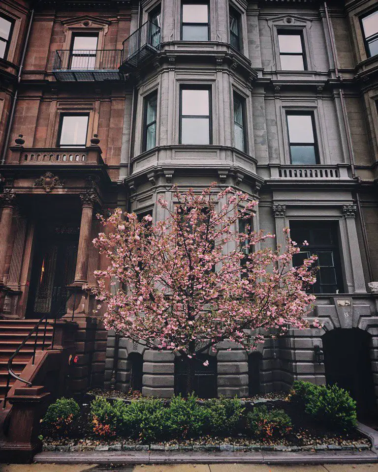 Boston