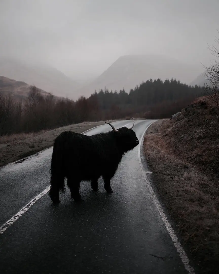 Scotland