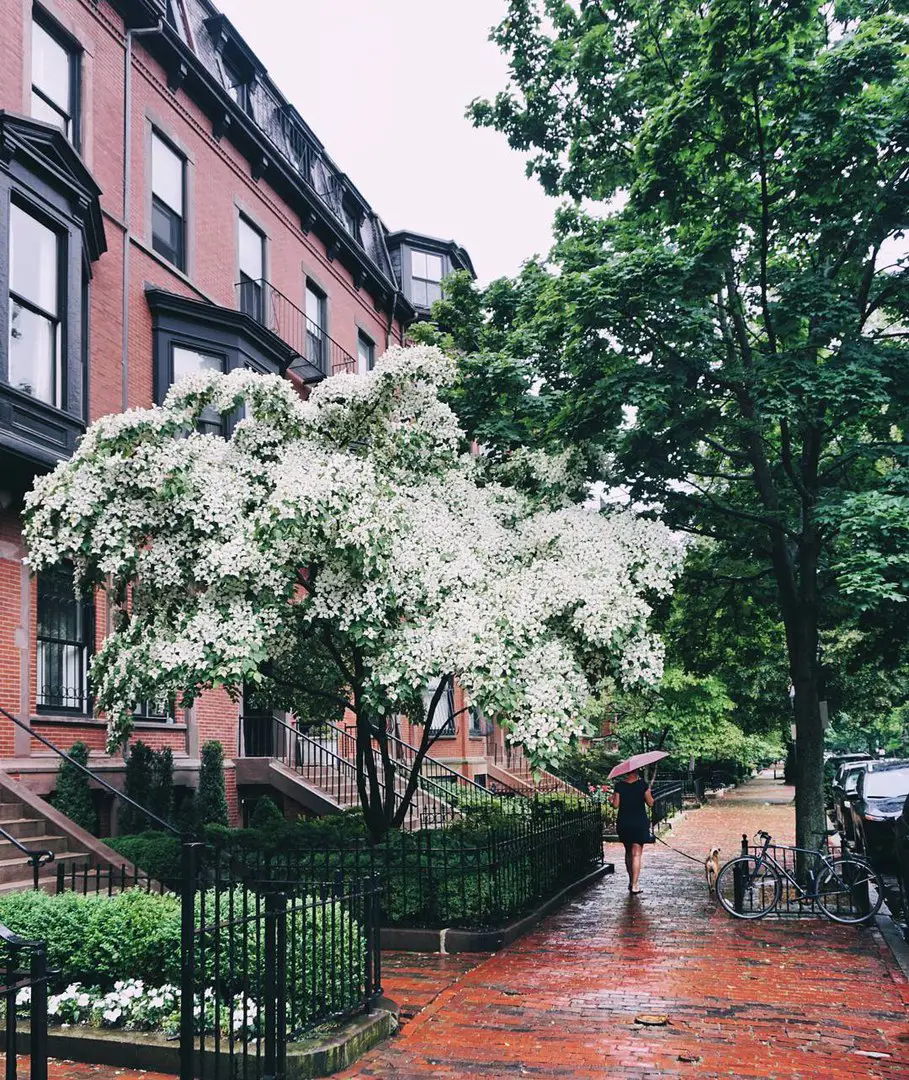 Rainy Boston