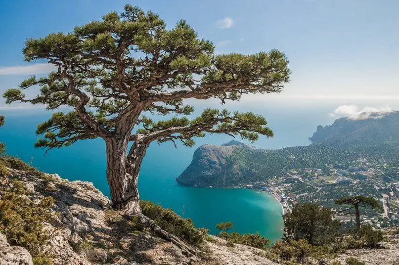 Beautiful Crimea