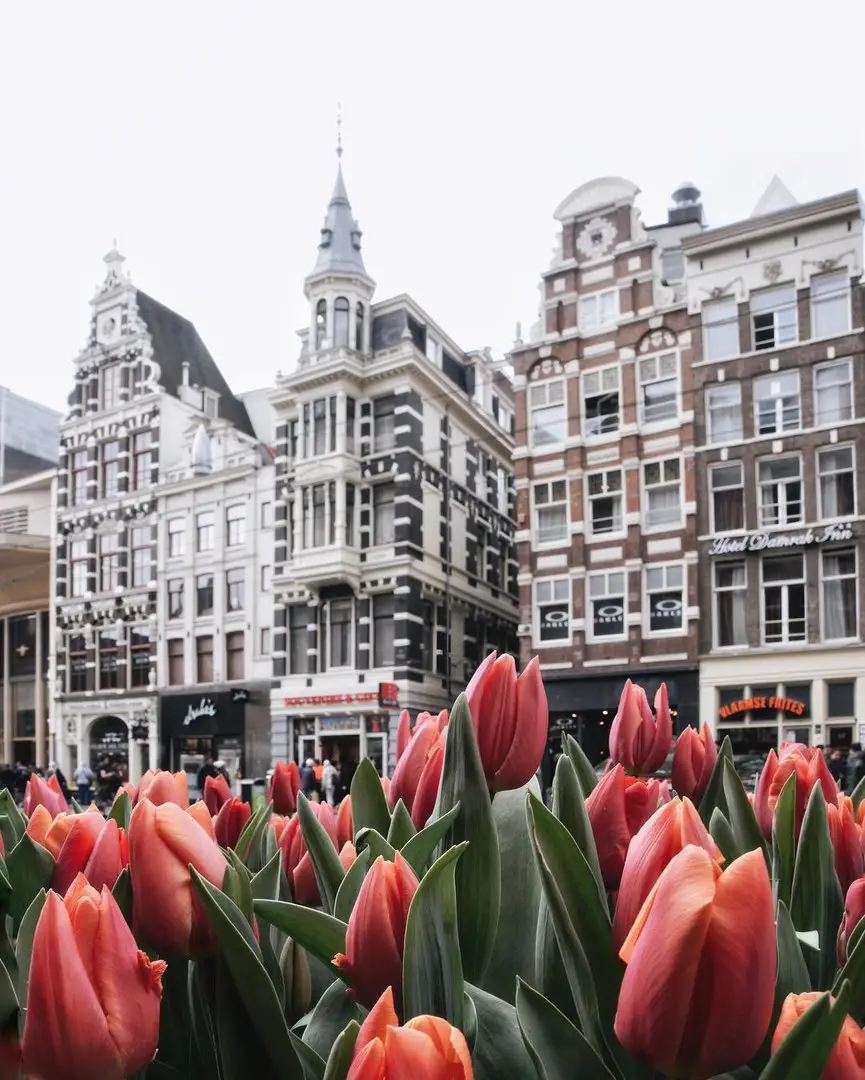 Amsterdam