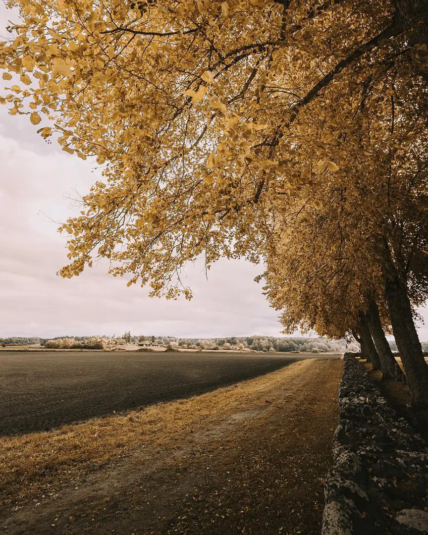 Uppsala, Sweden