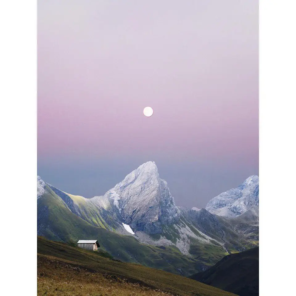 Photos by Palomaparrot