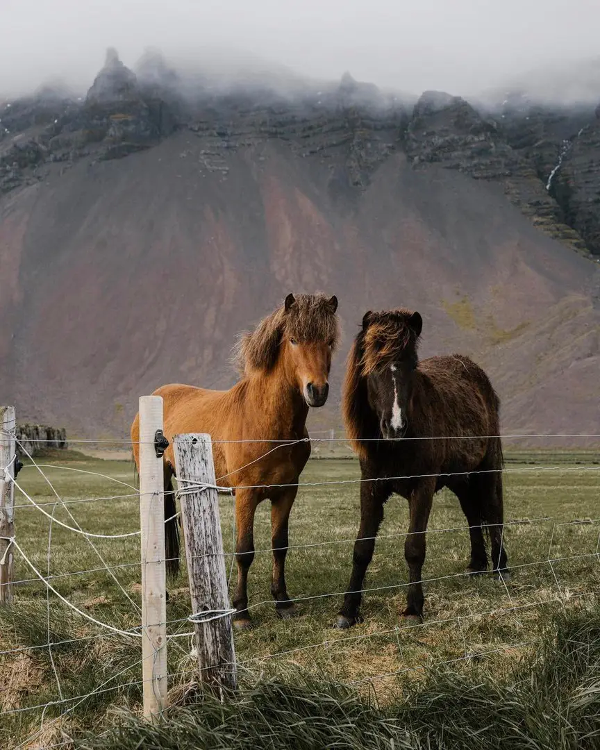 Iceland