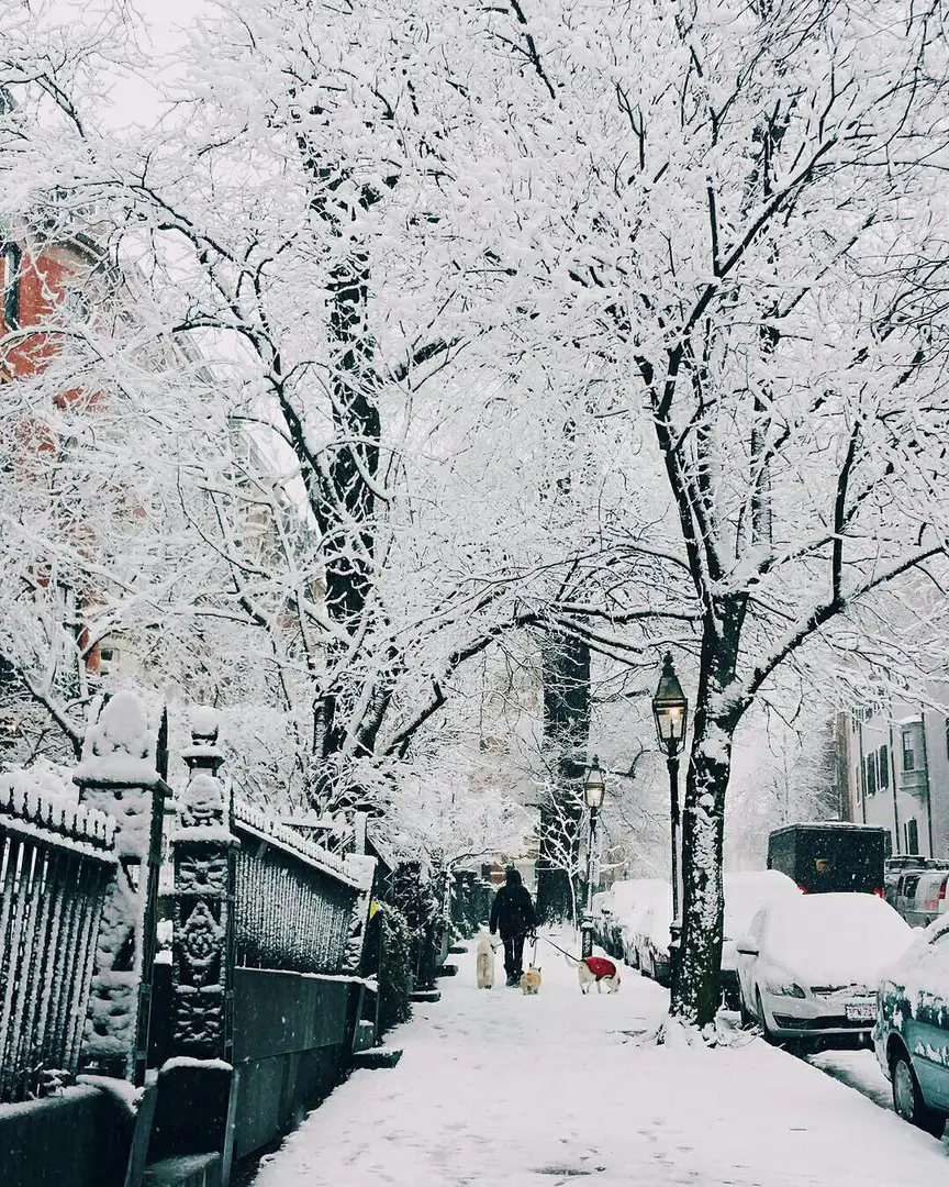 Boston, Massachusetts, USA