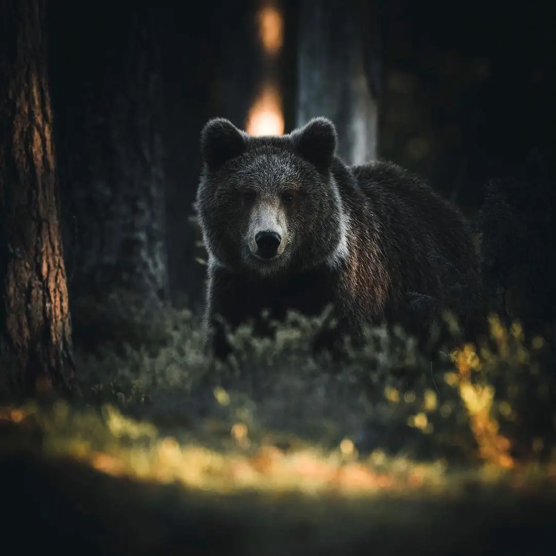 Finland