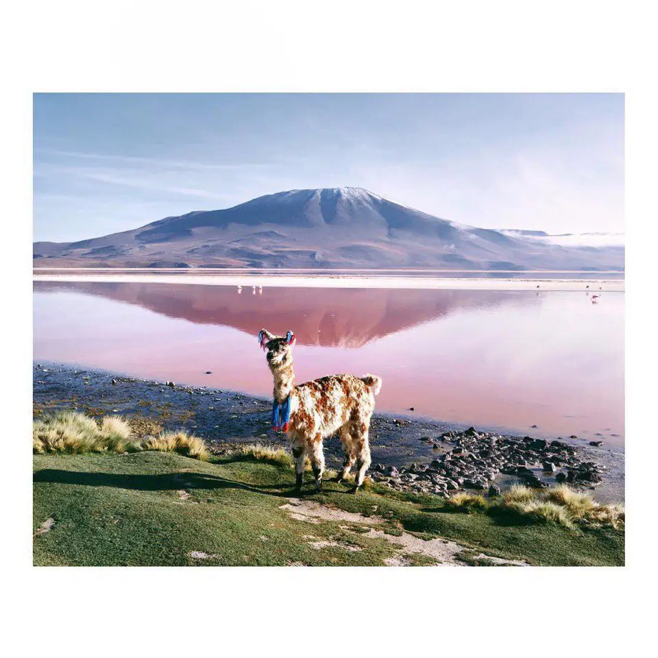 South America