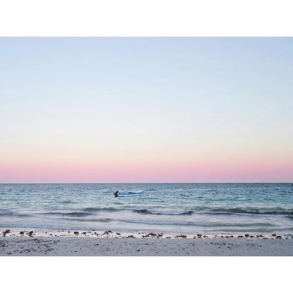 Photos by Palomaparrot