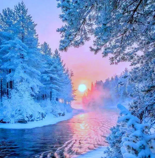 Winter fairy tale