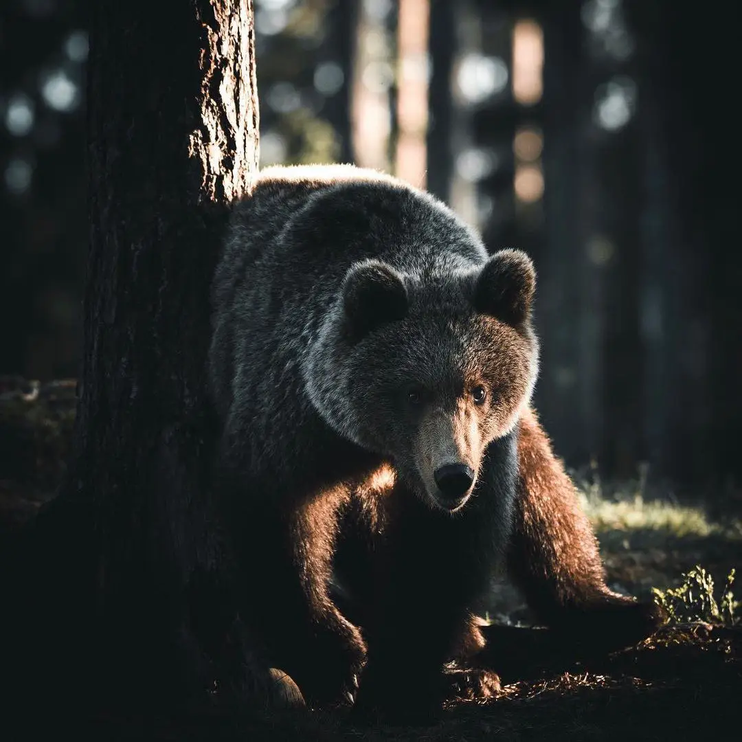Finland