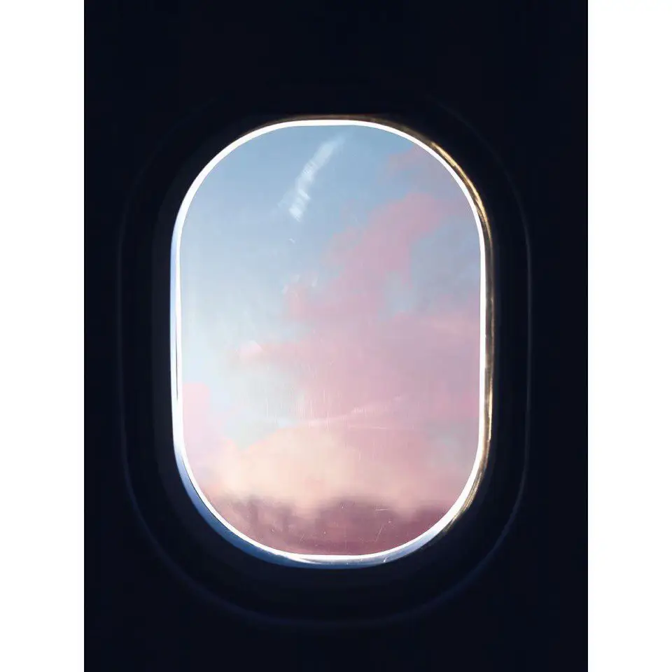 Photos by Palomaparrot
