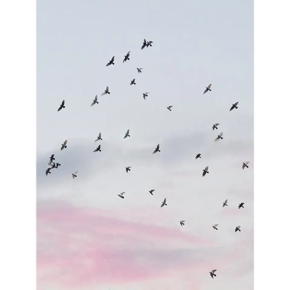 Photos by Palomaparrot