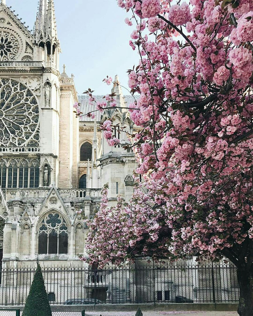 Париж, Франція