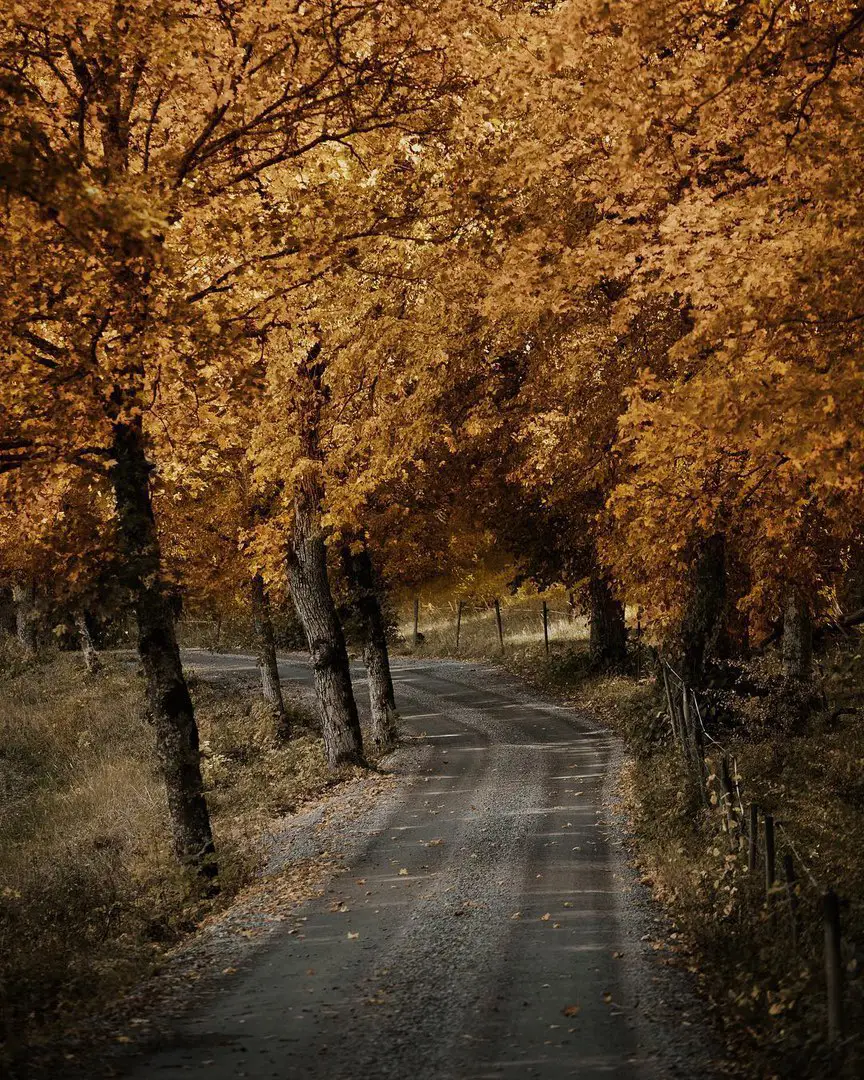 Uppsala, Sweden