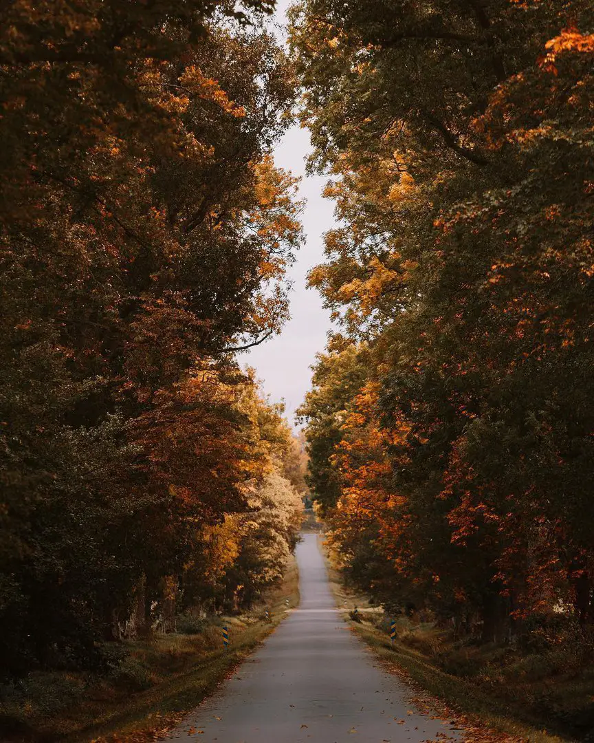 Uppsala, Sweden