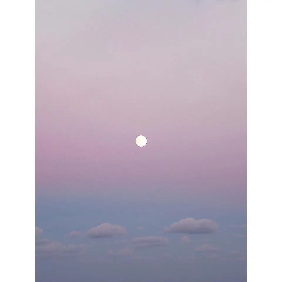 Photos by Palomaparrot