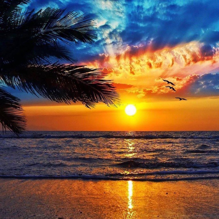 The Cyprus sunset