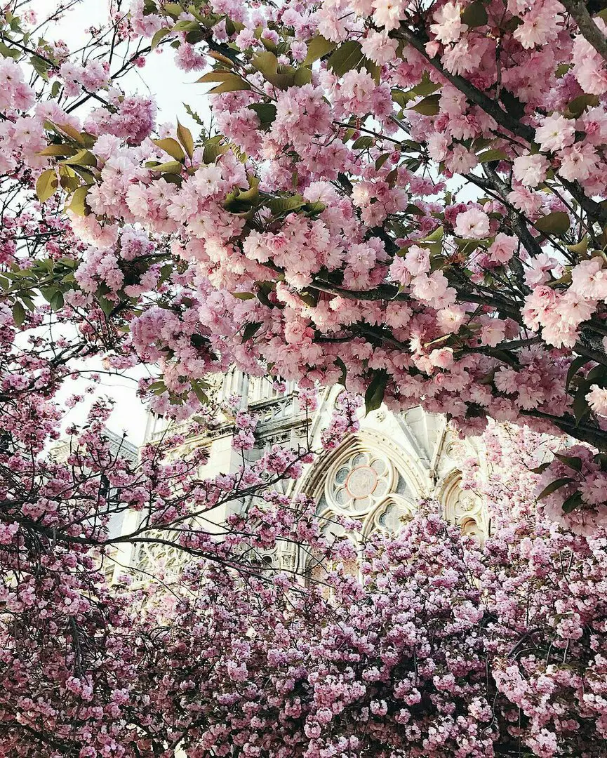 Paris, France
