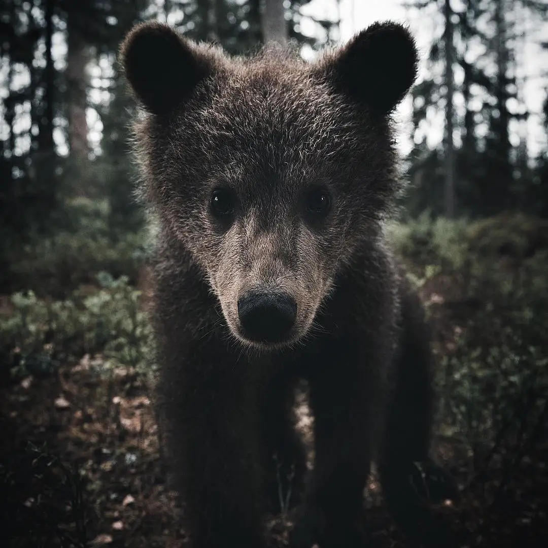 Finland