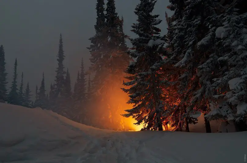 Красота зимнего леса