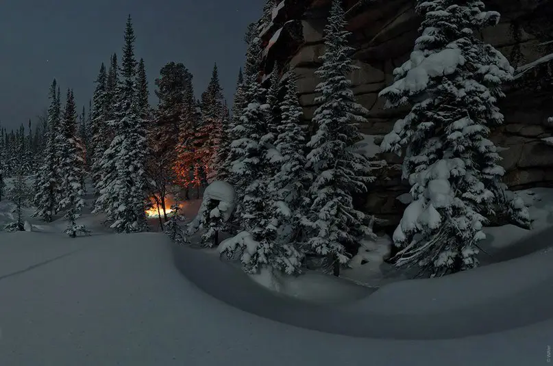The beauty of the winter forest