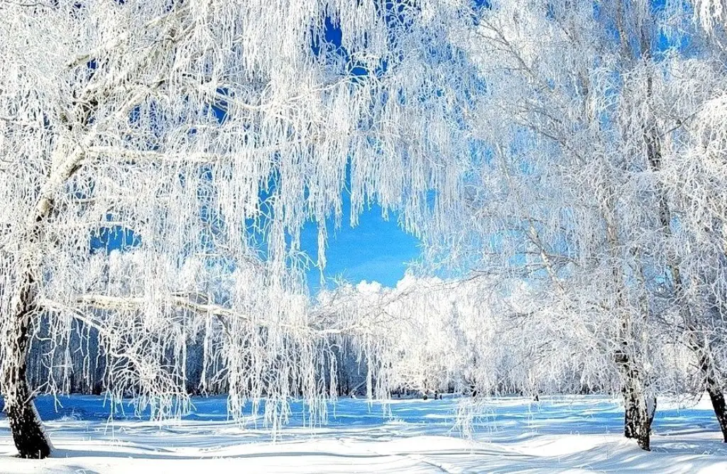 Зимняя сказка