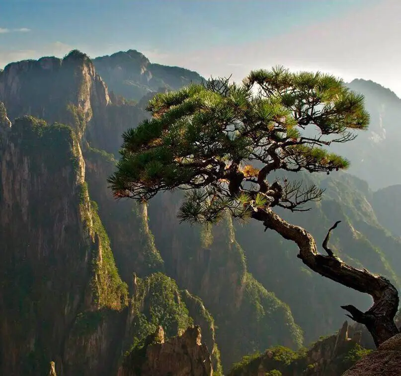 China