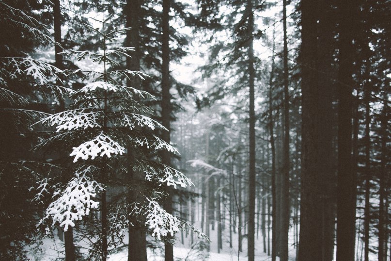 Зима - это волшебство самой Природы.