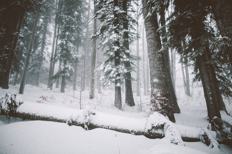 Зима - это волшебство самой Природы.
